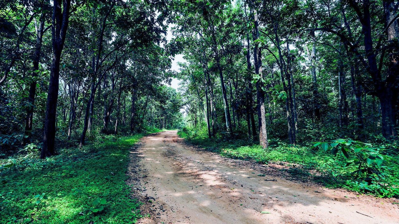 Hazaribagh National Park